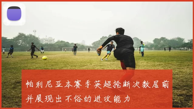 帕利尼亚本赛季英超抢断次数居前并展现出不俗的进攻能力
