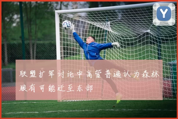 联盟扩军讨论中高管普遍认为森林狼有可能迁至东部