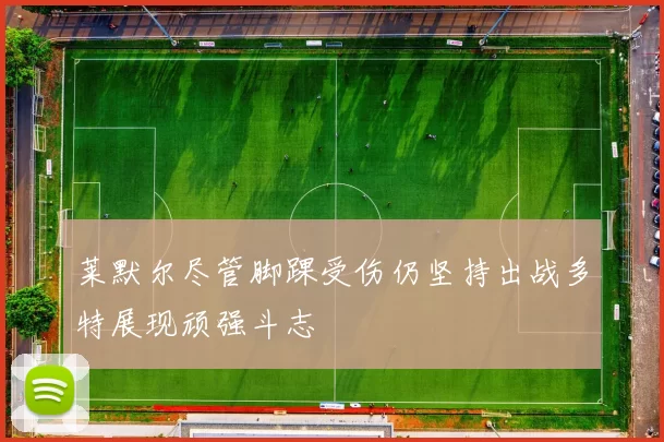 莱默尔尽管脚踝受伤仍坚持出战多特展现顽强斗志